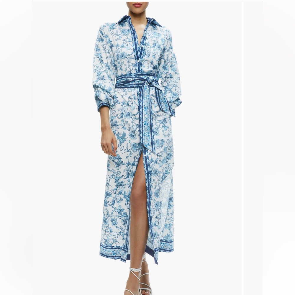 ALICE+OLIVIA Tanika Shirtdress
